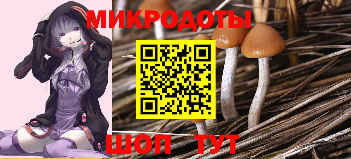 Галлюциногенные грибы GOLDEN TEACHER Нефтекамск